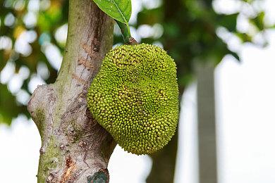 《风之少年 克罗诺亚1&2 乘风归来》将于2022年7月7日发售